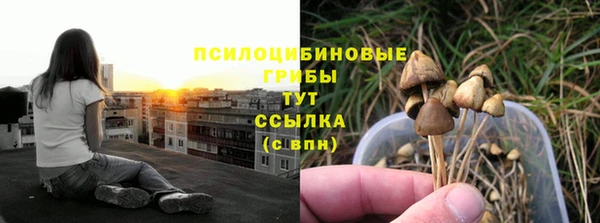бошки Горняк