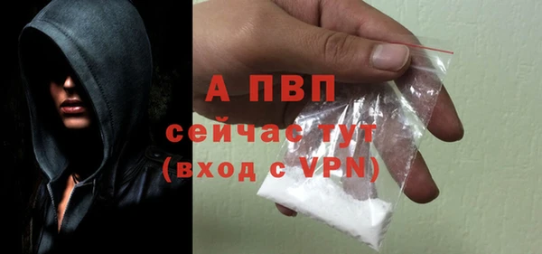 прущие крисы Вяземский