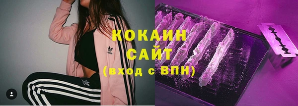 прущие крисы Вяземский