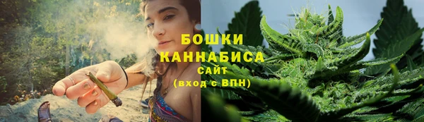 прущие крисы Вяземский