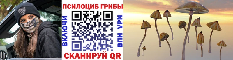 Псилоцибиновые грибы MAGIC MUSHROOMS  Купить закладки  Лесной 